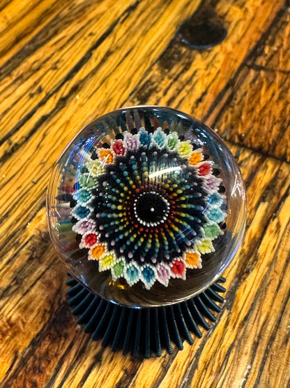 Steve H Rainbow Dotstack Clear Core Implosion Roller