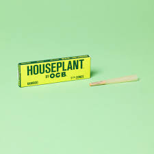 House Plant By OCB 6 Pack 1 1/4 Cones