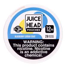 Juice Head Pouches - Blueberry Lemon Mint