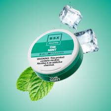 BSX Pouches - The Mint