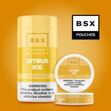 BSX Pouches - Citrus Ice