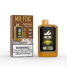 Mr. Fog Nova 36k Disposable