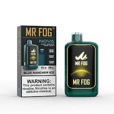 Mr. Fog Nova 36k Disposable